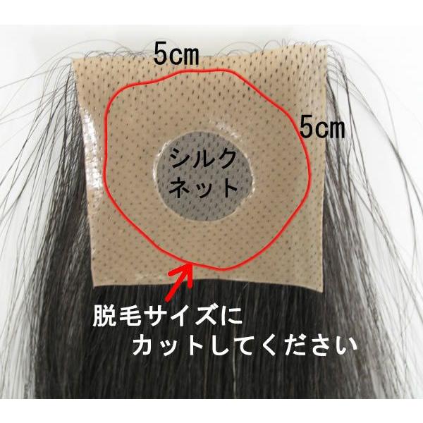 円形脱毛シルクシート(皮膚貼付用両面テープ約30枚付) | 