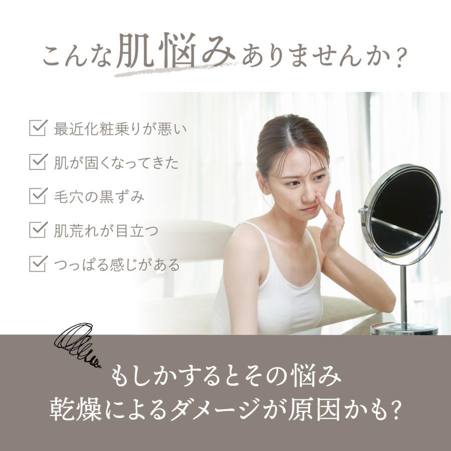 LINKA（リンカ） フェイシャルスチーマー 温冷ナノスチーム 保湿＆毛穴