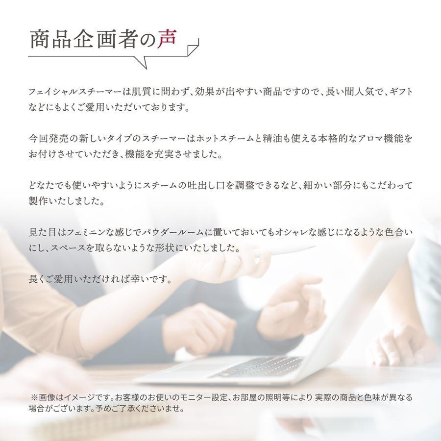 LINKA（リンカ） マシュマロ素肌 クリーンスチーム イオン エステ 顔
