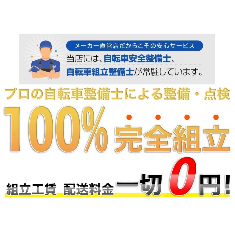 電動自転車 電動アシスト自転車 26インチ 完成品 完成車 組立済 自転車 子供乗せ チャイルドシート装着可能 送料無料 AOCT260【東京都/神奈川限定】｜21technology｜11