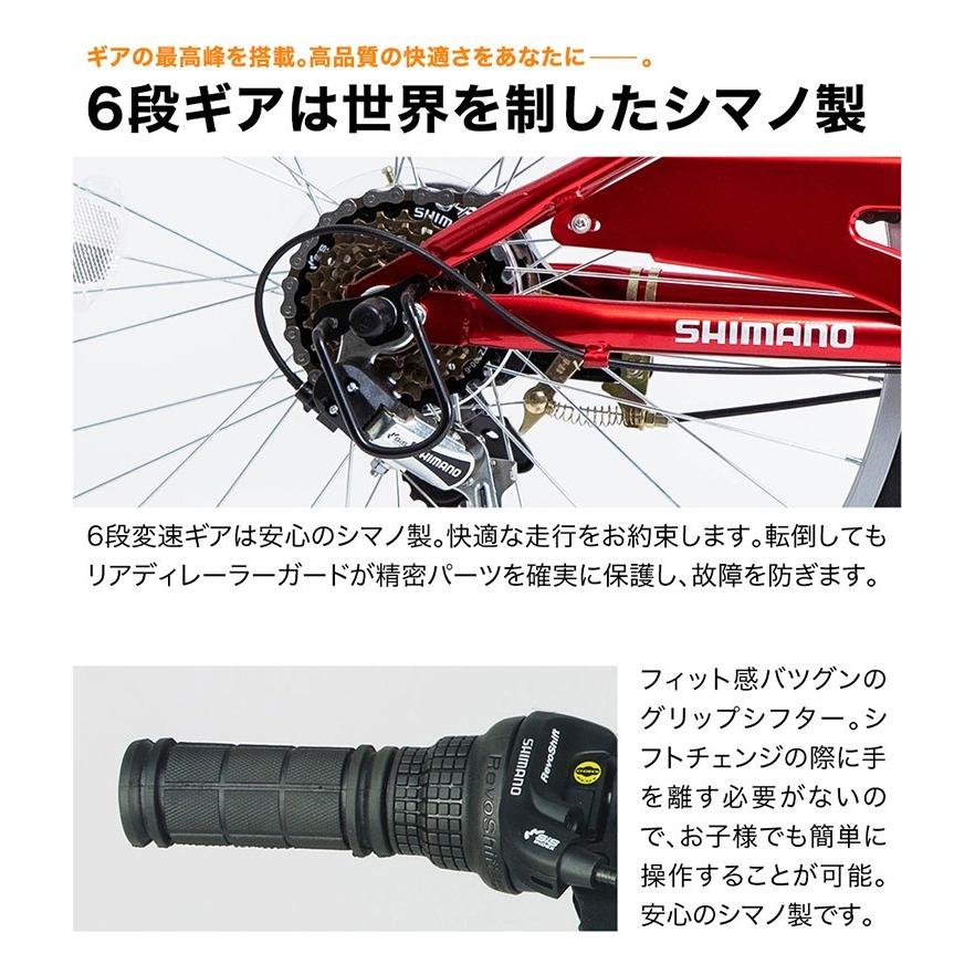 21Technology 子供用自転車 24インチ 男子 男の子 マウンテン 21Technology 子供用自転車 24インチ 男子 男の子 マウンテン