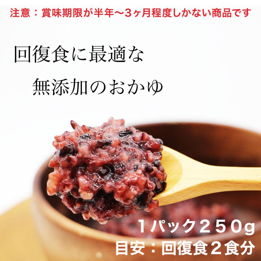 【お得セット】マナ酵素2本とお粥セット(マニュアル付き) 最もお得 3日ファスティング用】 マナ酵素 ファスティング 回復食