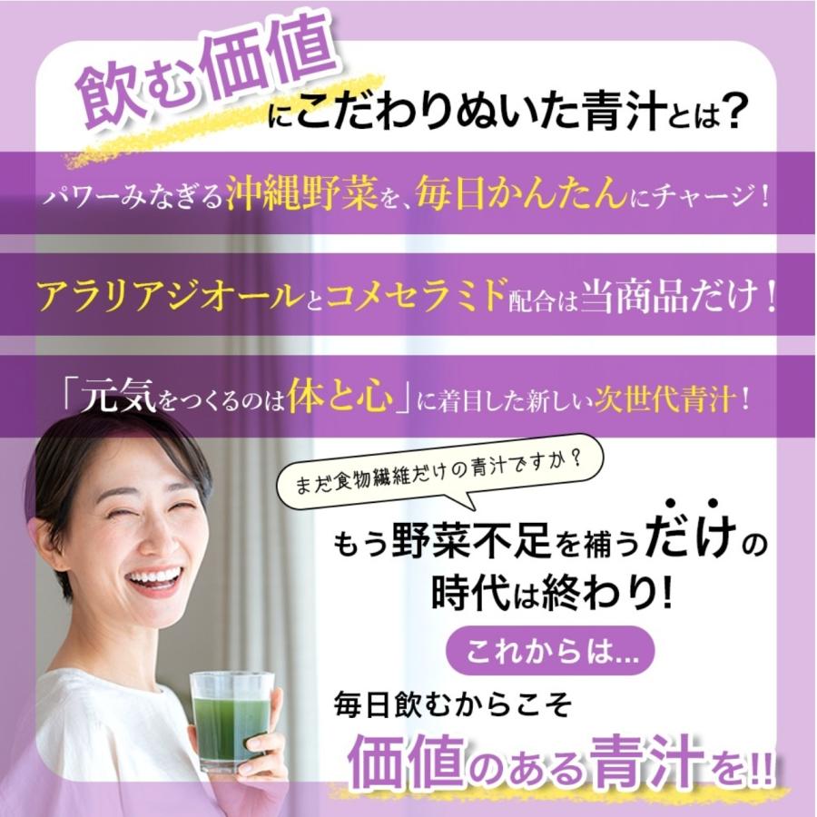 プレミアム青汁 美ら賢寿 30袋入 約1ヶ月分 粉末 サプリメント 無添加