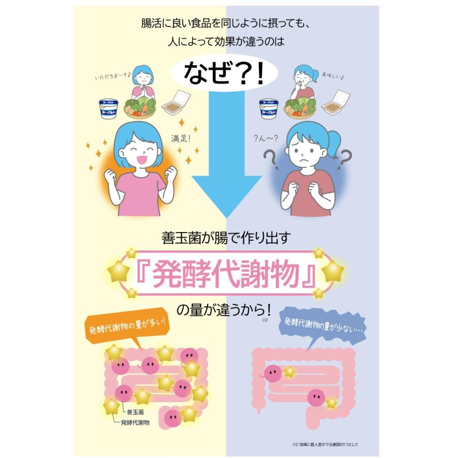 発酵マメ子　フェムケアプレミアム　腸活　エクオール【新品未開封】2袋×60粒 発酵マメ子 フェムケアプレミアム