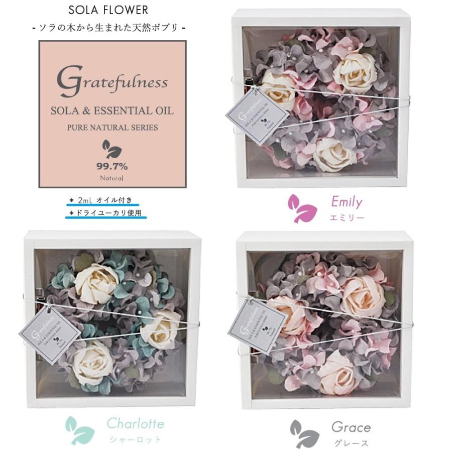 ソラフラワーリース Gratefulness Wreath 3種類 エミリー シャーロット