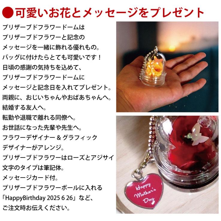 薔薇 バラ プリザーブドフラワー プレゼント  プリザーブドフラワー ドーム キーホルダー キーリング ストラップ バラ 薔薇 記念日 結婚祝い 還暦祝い |  | 01