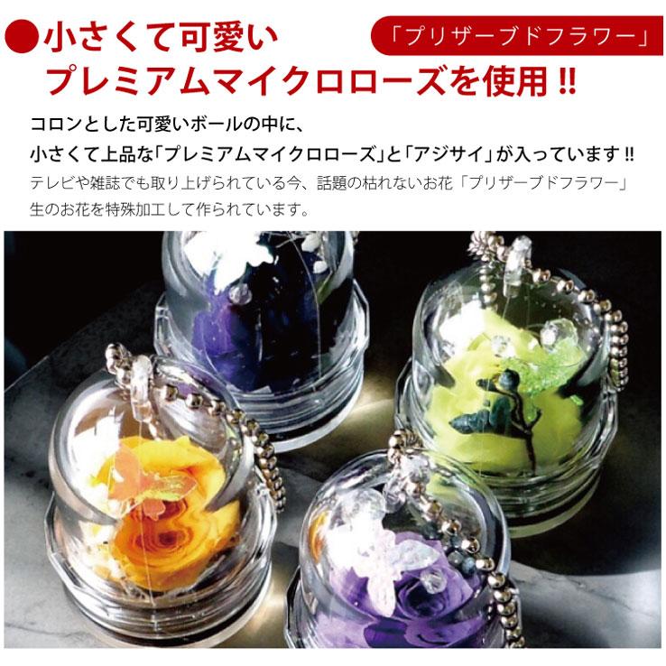 薔薇 バラ プリザーブドフラワー プレゼント  プリザーブドフラワー ドーム キーホルダー キーリング ストラップ バラ 薔薇 記念日 結婚祝い 還暦祝い |  | 02