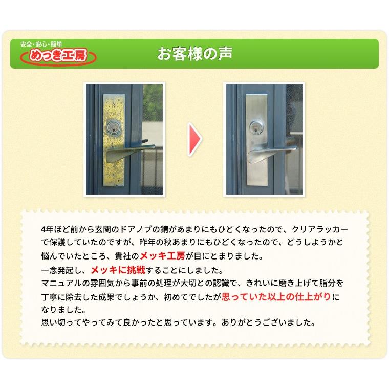めっき筆 スタンダード [本体] DIY簡単メッキ メッキ工房 サビ取り