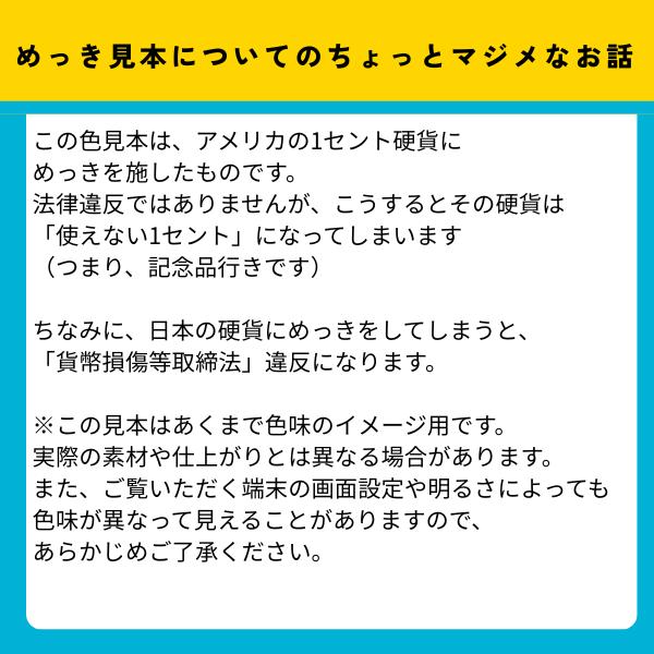 メッキ工房 新スターターセット 安心サポート付き DIY簡単メッキ
