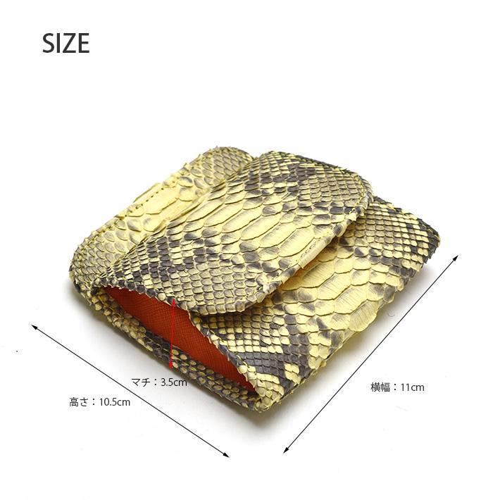 本ヘビ皮 三線 黒と金 専用ケース付き 本ヘビ皮 三線 黒と