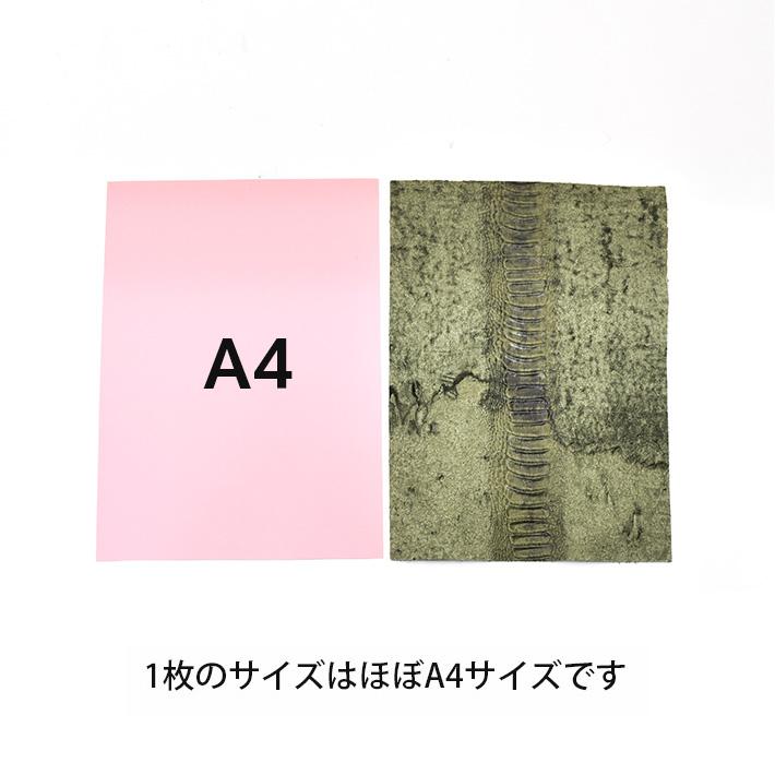 本革 ラムレザー 羊革 はぎれ A4サイズ オーストリッチ 型押し オーストレッグ 脚 レザークラフト ハギレ 端革 革材料  No.807789gr｜24x｜03