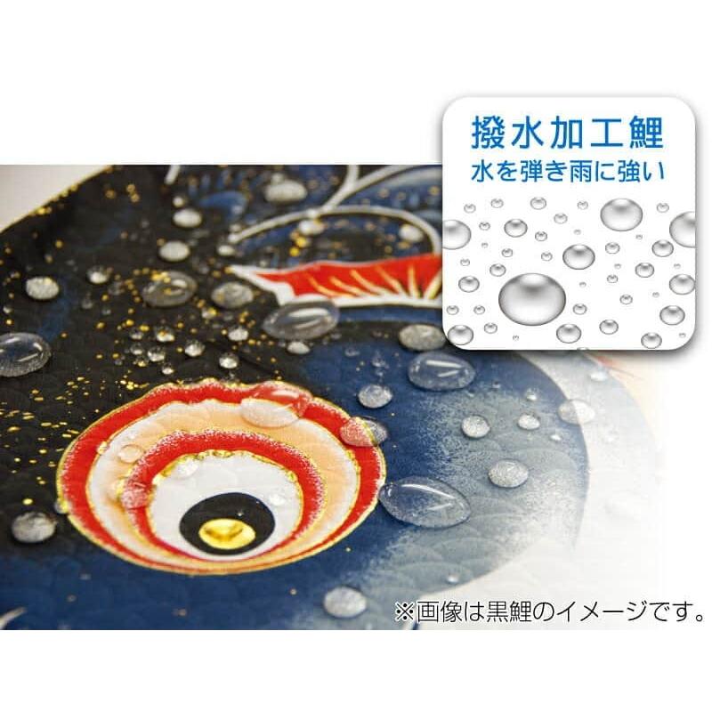 【100周年記念祭】こいのぼり 徳永鯉 鯉のぼり 単品 5m 風舞い 薫風の舞い鯉 撥水加工 ポリエステルジャガード織生地 000-853_2