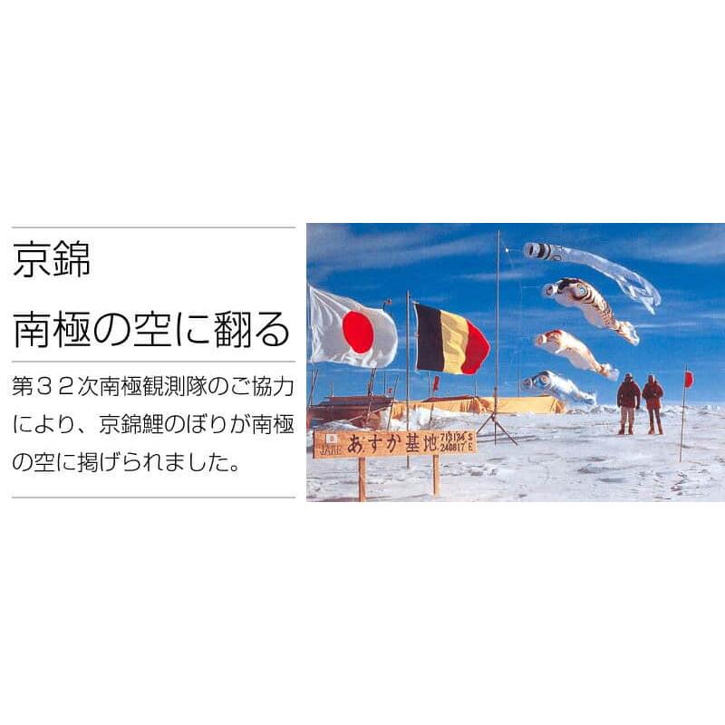 【100周年記念祭】こいのぼり 徳永鯉 鯉のぼり 単品 4m 京錦 献上手染友禅之鯉 ポリエステル立体交差織生地 001-156_5