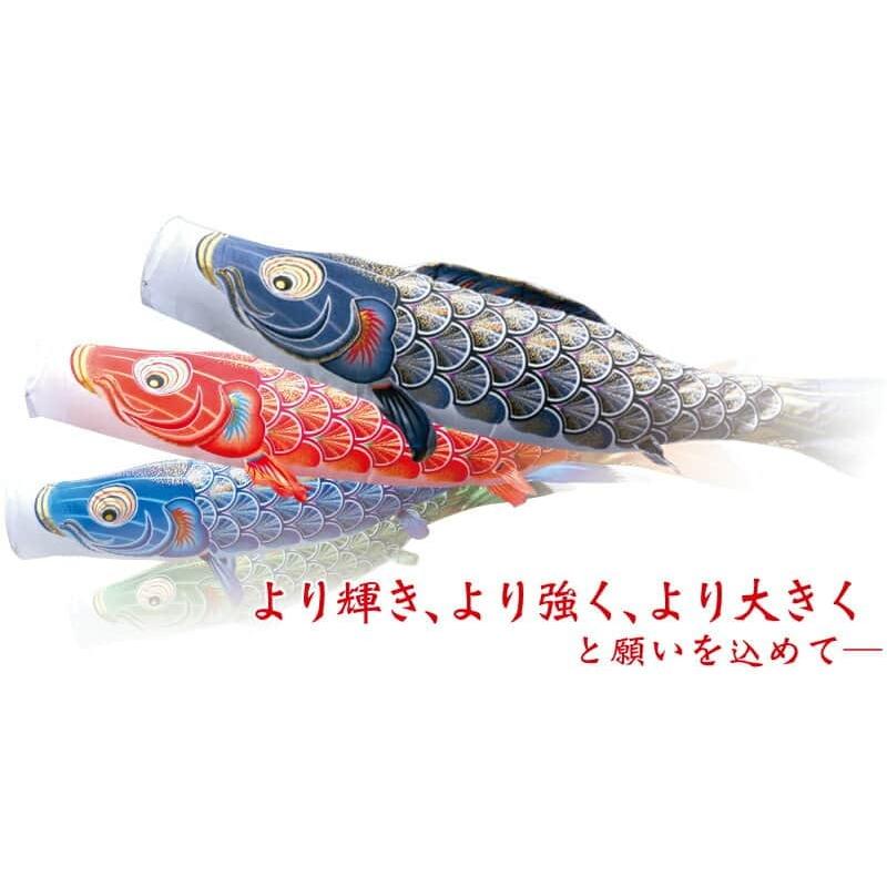 3m】鯉のぼり サテン生地 青鯉 黄金兜鯉