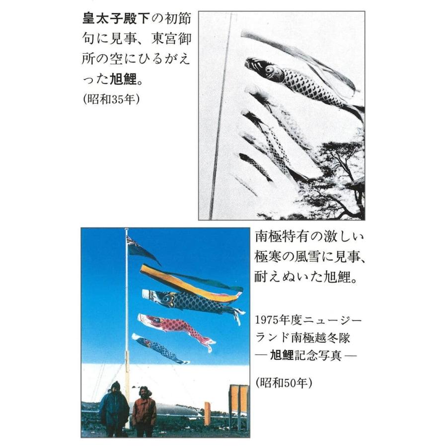 100周年記念祭】こいのぼり 旭鯉 鯉のぼり 庭園用 4m ガーデンセット