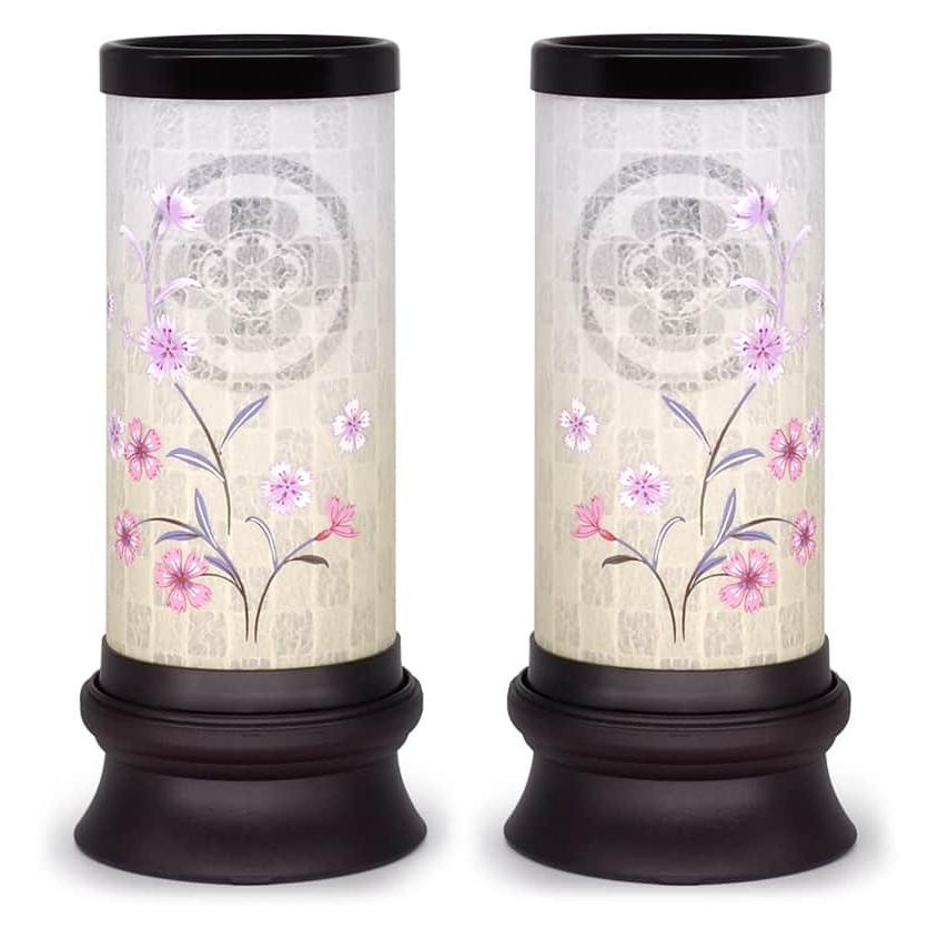 MOLDSイベント限定 提灯 oldmountain柄 爆買 盆提灯 創作提灯 紋入 花音 回転 クリア絵風車付 一対入