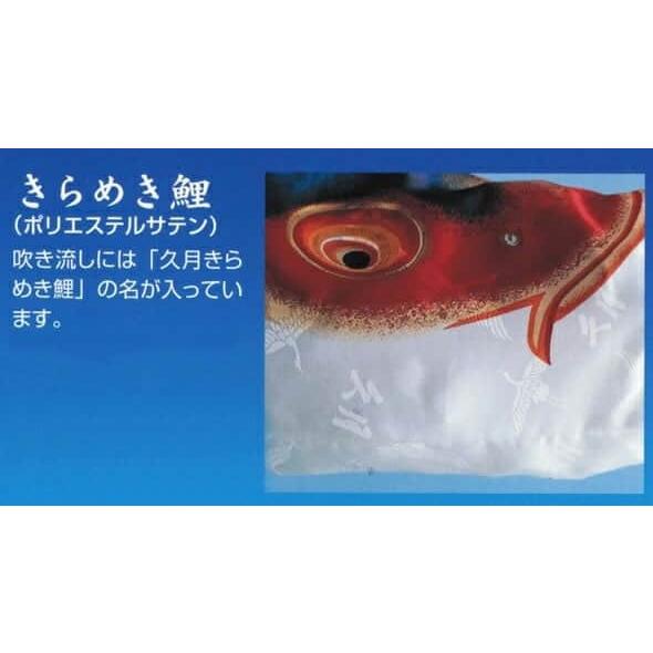 久月 【100周年記念祭】こいのぼり 人形の久月 鯉のぼり 庭園用