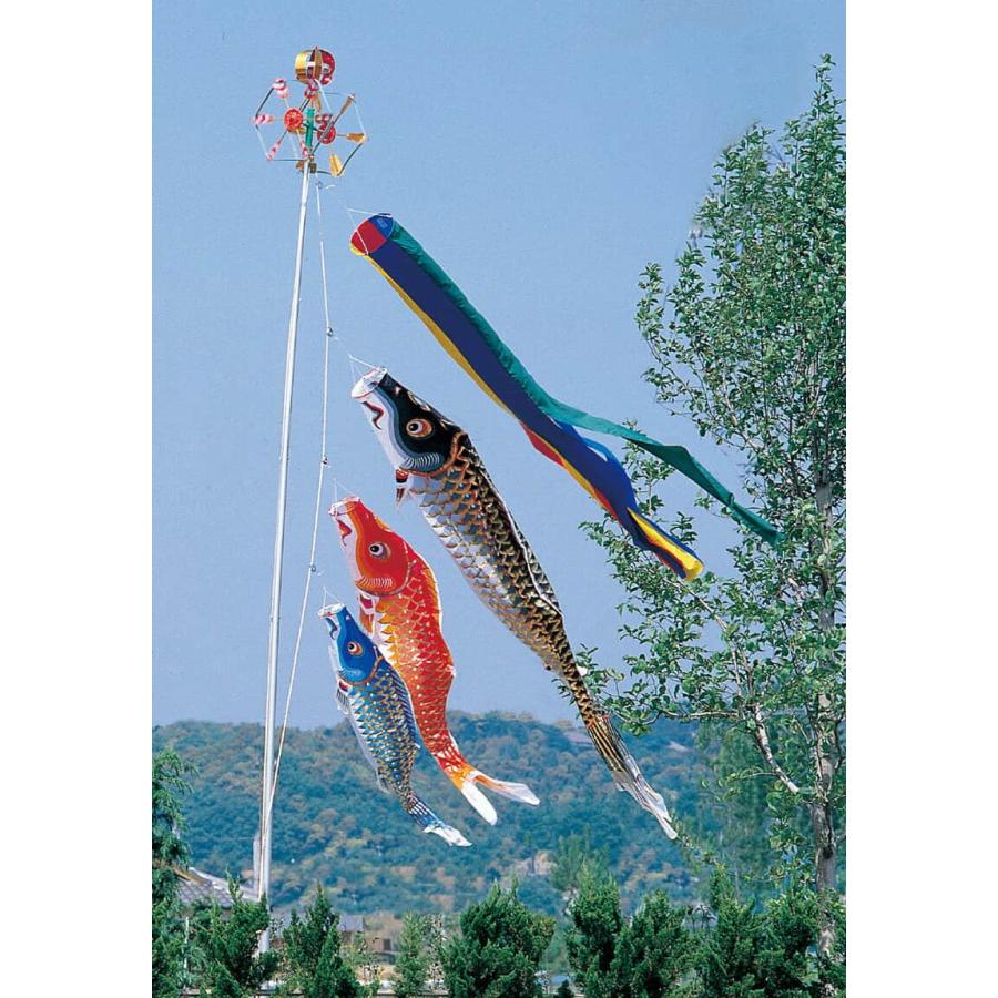 こいのぼり ワタナベ 鯉のぼり 庭園用 2m 杭打込 江戸 五色吹流し ポリエステル wtk-mheng20