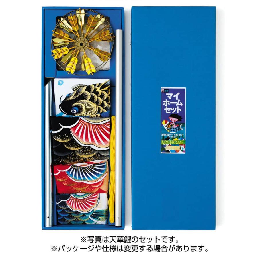 こいのぼり ワタナベ 鯉のぼり 庭園用 2m 杭打込 江戸 五色吹流し ポリエステル wtk-mheng20