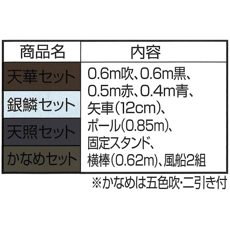 こいのぼり ワタナベ 鯉のぼり 室内用 60cmセット プチ座敷鯉物語 銀鱗