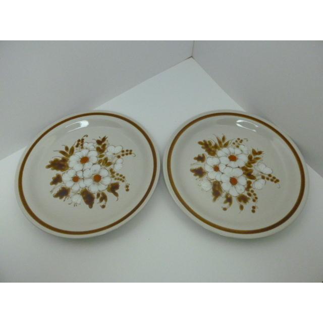 昭和レトロ　Mountain Wood Collection　プレート　２枚セット　日本製　未使用　長期保管品 | 