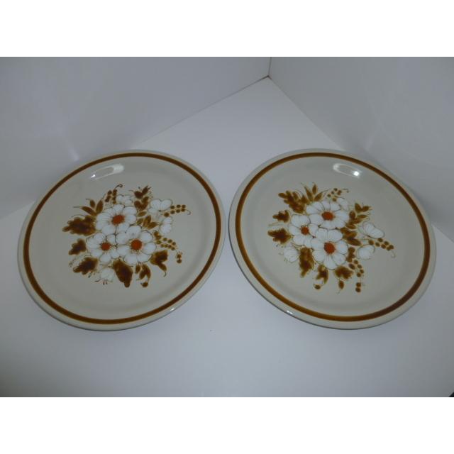 昭和レトロ　Mountain Wood Collection　プレート　２枚セット　日本製　未使用　長期保管品 |  | 06