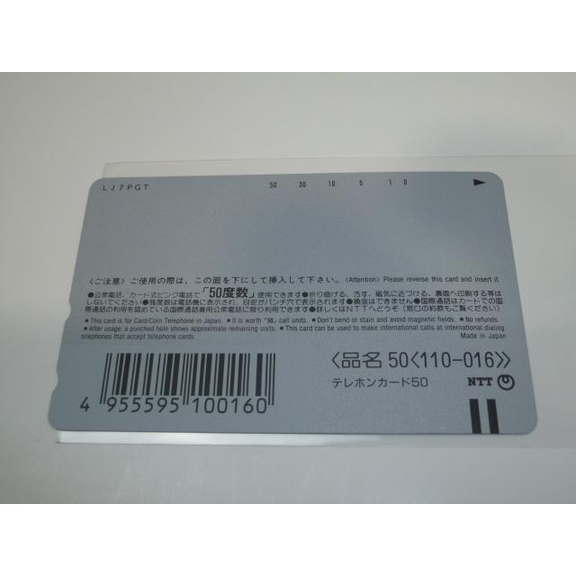 ねんりんピック’97　山形　剣道交流大会　寒河江市　50度数テレホンカード　未使用 |  | 05