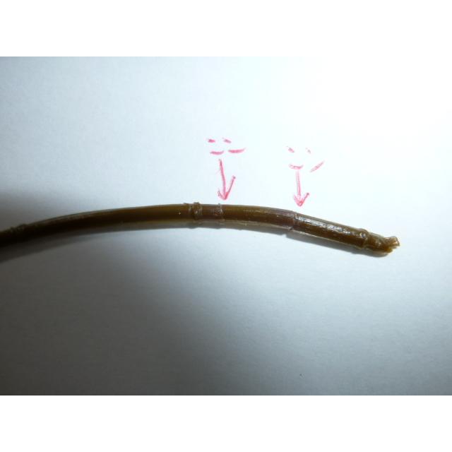 昭和レトロ　青森銀行　青銀アッちゃん貯金箱　郷土のお祭りシリーズ　えんぶり えびす舞の巻　中古　長期保管品　あおもりぎんこう　ノベルティ |  | 02