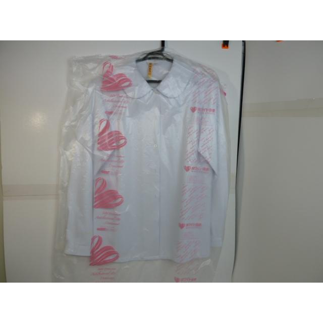 TOMBOW（トンボ) 青森県立青森東高等学校 女子制服長袖ブラウス サイズＬ (1) 中古 業者クリーニング済み |  | 20