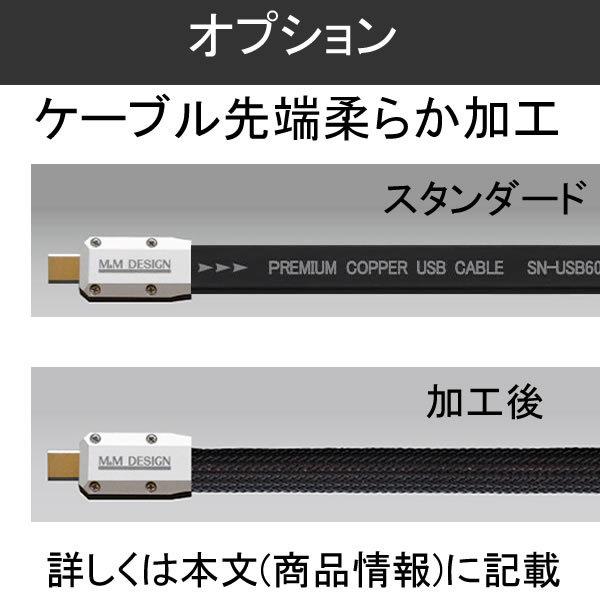 M&Mデザイン SN−USB6000 TypeA→TypeC ハイレゾ対応USBケーブル3.0