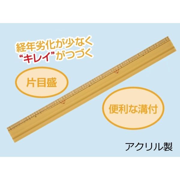 アクリル製 定規 はかるん 30cm 片目盛 直線定規 小学生 入学 準備品