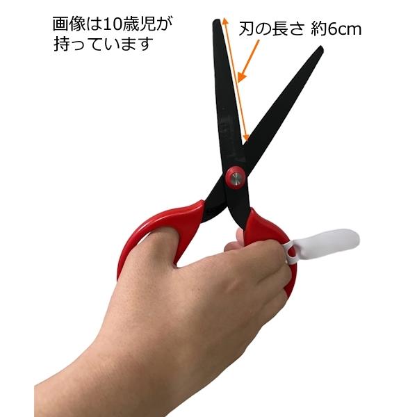 フッ素 工作はさみ 右利き用 全長15.5cm キャップ 名札付き 右用 文具