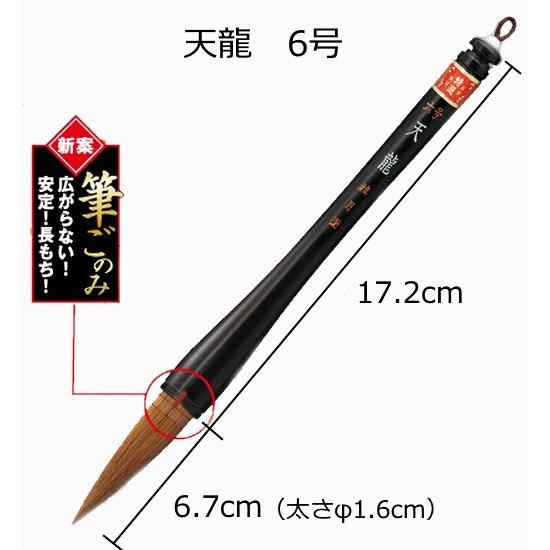書初め用筆 小学生 大筆 熊野筆 天龍 6号 てんりゅう 太筆 筆ごのみ