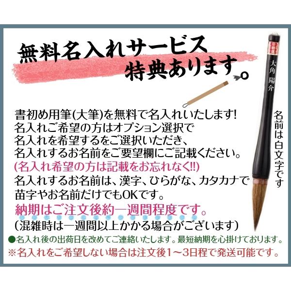 書初め用筆 小学生 大筆 熊野筆 雅鳳 6号 がほう 小学校 太筆 筆ごのみ