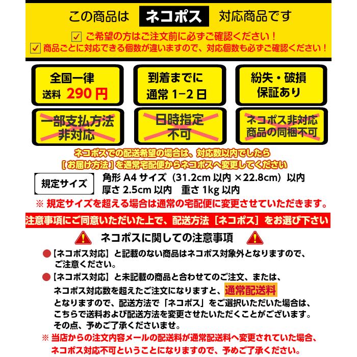 勾玉作り体験 半加工勾玉づくりセット 穴あき済 ネコポス 4個まで まがたま キット 古代 装飾 体験学習 滑石 お手軽 加工済み｜27so｜05