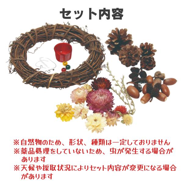 クリスマスリース手作り キット 子供 クリスマスリースキット 森の