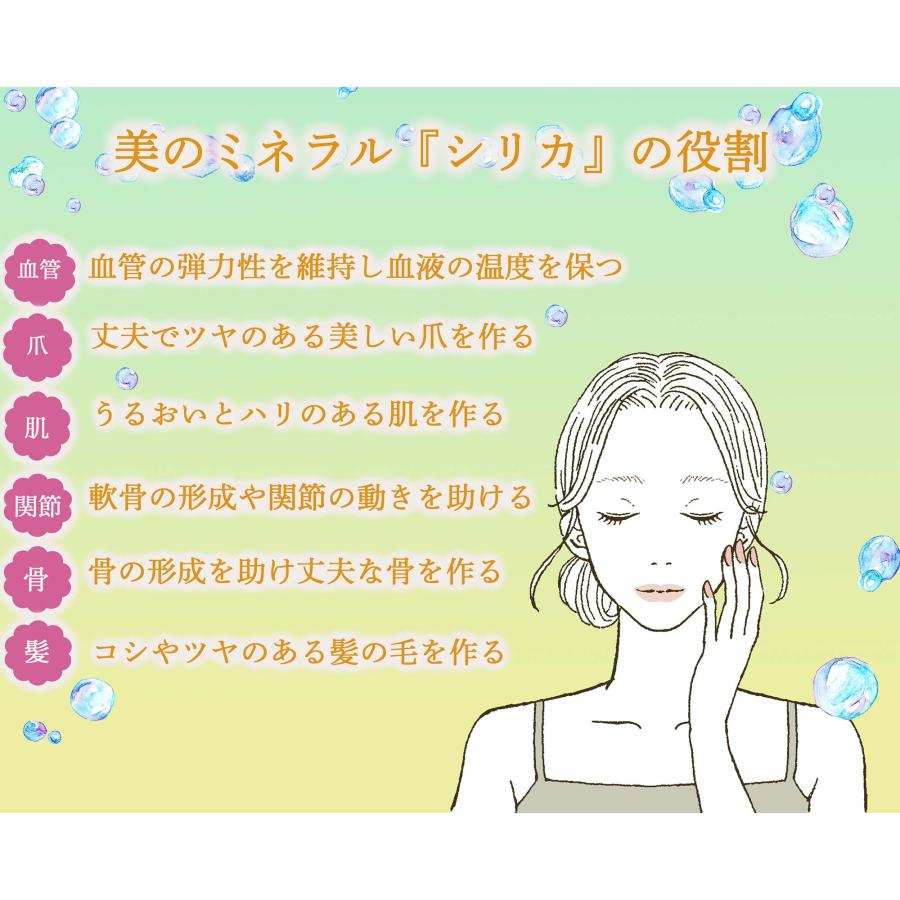 水 シリカ水 霧島の福寿鉱泉水 20L箱 シリカ160mg/L 温泉水 炭酸水素イオン600mg/L 硬水 ミネラルウォーター 20l バッグインボックス コック付 | 福地産業 | 02