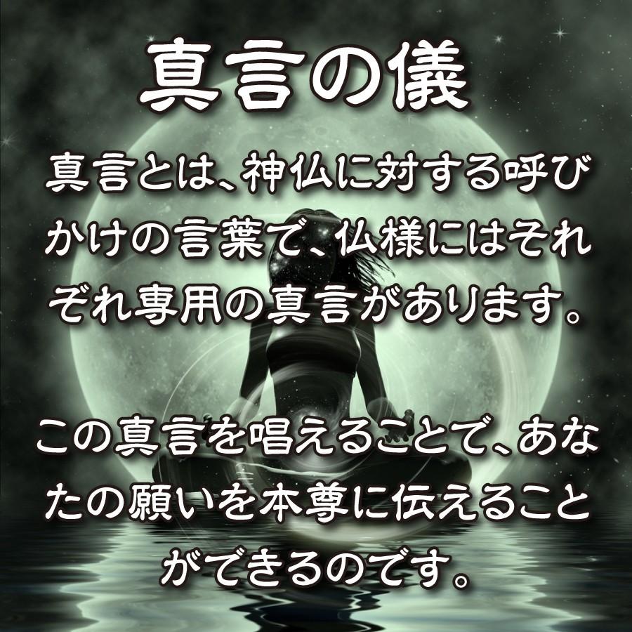 干支 梵字 護符 開運 お守り 辰年(たつ年)巳年(へび年) 守護本尊「普賢菩薩」金運 恋愛運 健康運 何事も全てうまくいく強力な護符(財布に入る名刺サイズ)｜295150｜05