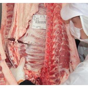 送料無料　豚・牛・鶏　切り落とし詰め合わせセット　1.5ｋｇ　 |  | 02