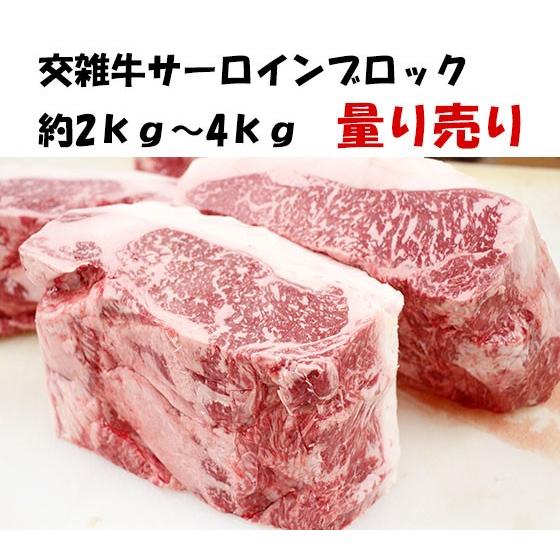 （量り売り）　交雑牛　サーロイン　ブロック　約1000ｇ〜3000ｇ　（4280円/kg）｜2983