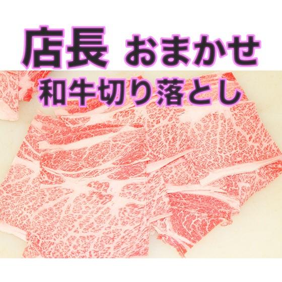 より美味しくなりました　店長おまかせ　国産和牛切り落とし　500ｇ　 | 