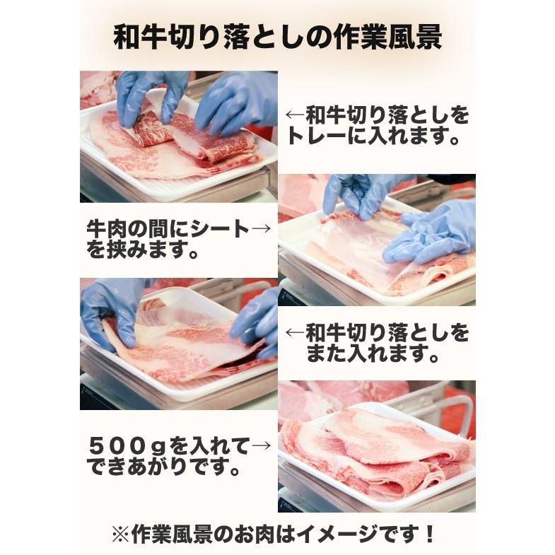 【送料無料】　訳あり　和牛切り落とし　500g×2　1ｋｇ |  | 01