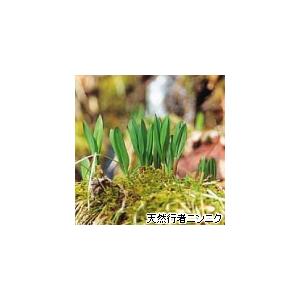 十勝餃子　行者ニンニク　25ｇ　20個 |  | 01