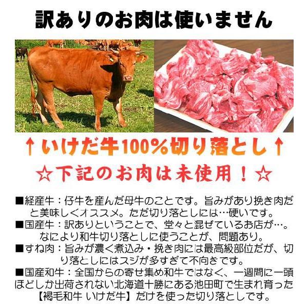 値上げ！　いけだ牛切り落とし　400ｇ　(端っこ 端 切り落とし 不ぞろい) | いけだ牛 | 01