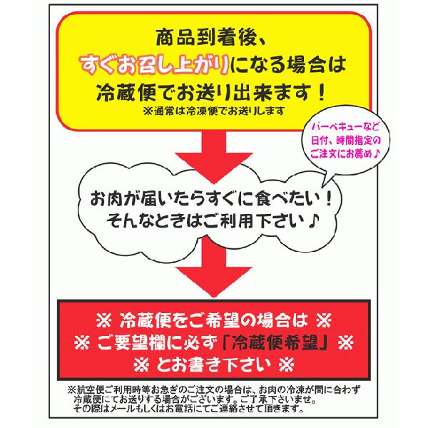 【送料無料】メガバーベキュー・BBQセット 15〜25人前　令和5年夏改良版｜2983｜02