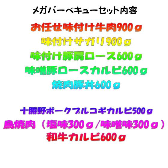 【送料無料】メガバーベキュー・BBQセット 10〜20人前　令和8年・夏モデル |  | 02