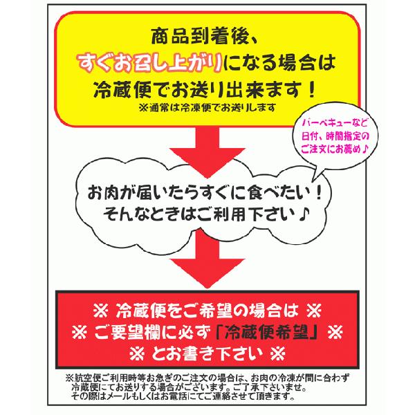 【送料無料】ギガバーベキュー・BBQセット 20〜40人前 令和8年・夏モデル |  | 01
