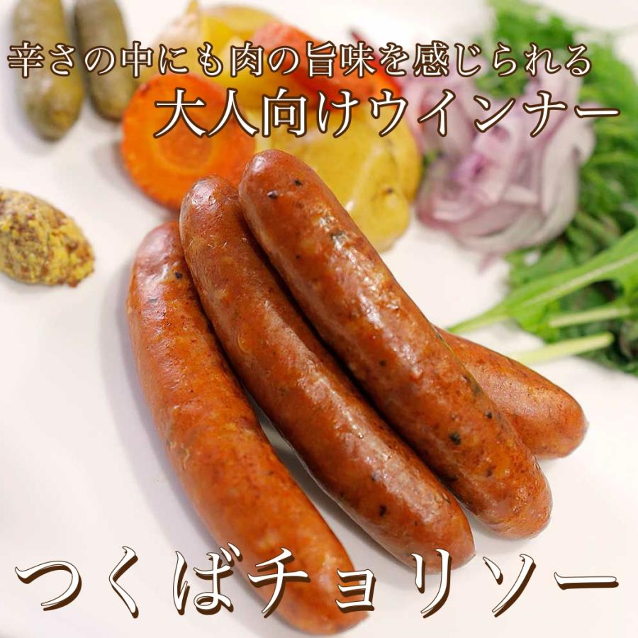 つくばチョリソー 100g 筑波ハム 国産 茨城県 特産品 肉 茨城県産豚 | ブランド登録なし | 01