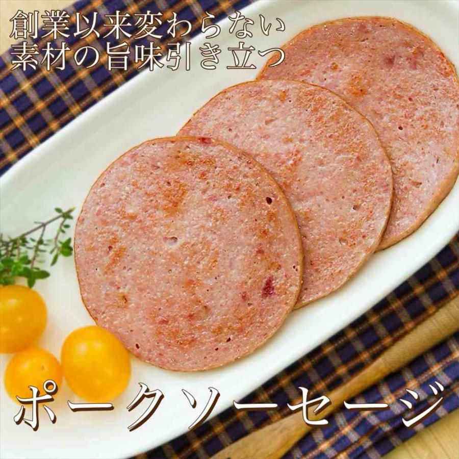 ポークソーセージ 300g 筑波ハム 国産 茨城県 特産品 肉 茨城県産豚 | ブランド登録なし | 01