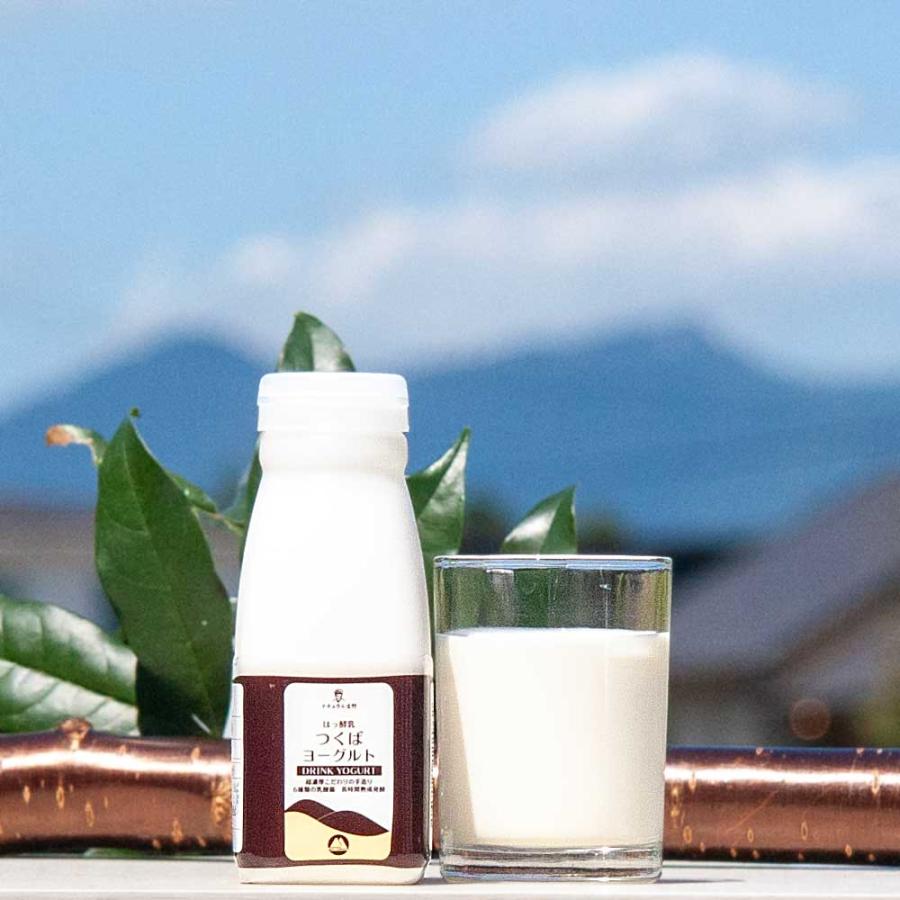 つくばヨーグルト200ml 筑波ハム 飲むヨーグルト 加糖 国産 茨城県産 乳製品 飲むヨーグルト 特産品 | ブランド登録なし
